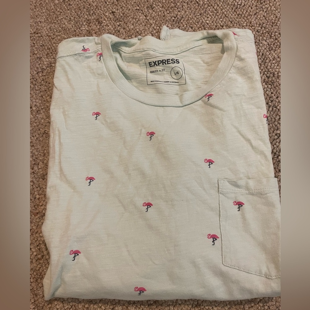 Express Light Green Flamingo T-Shirt
